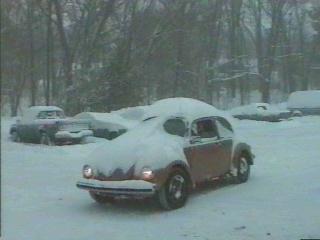 Snow Covered Bug